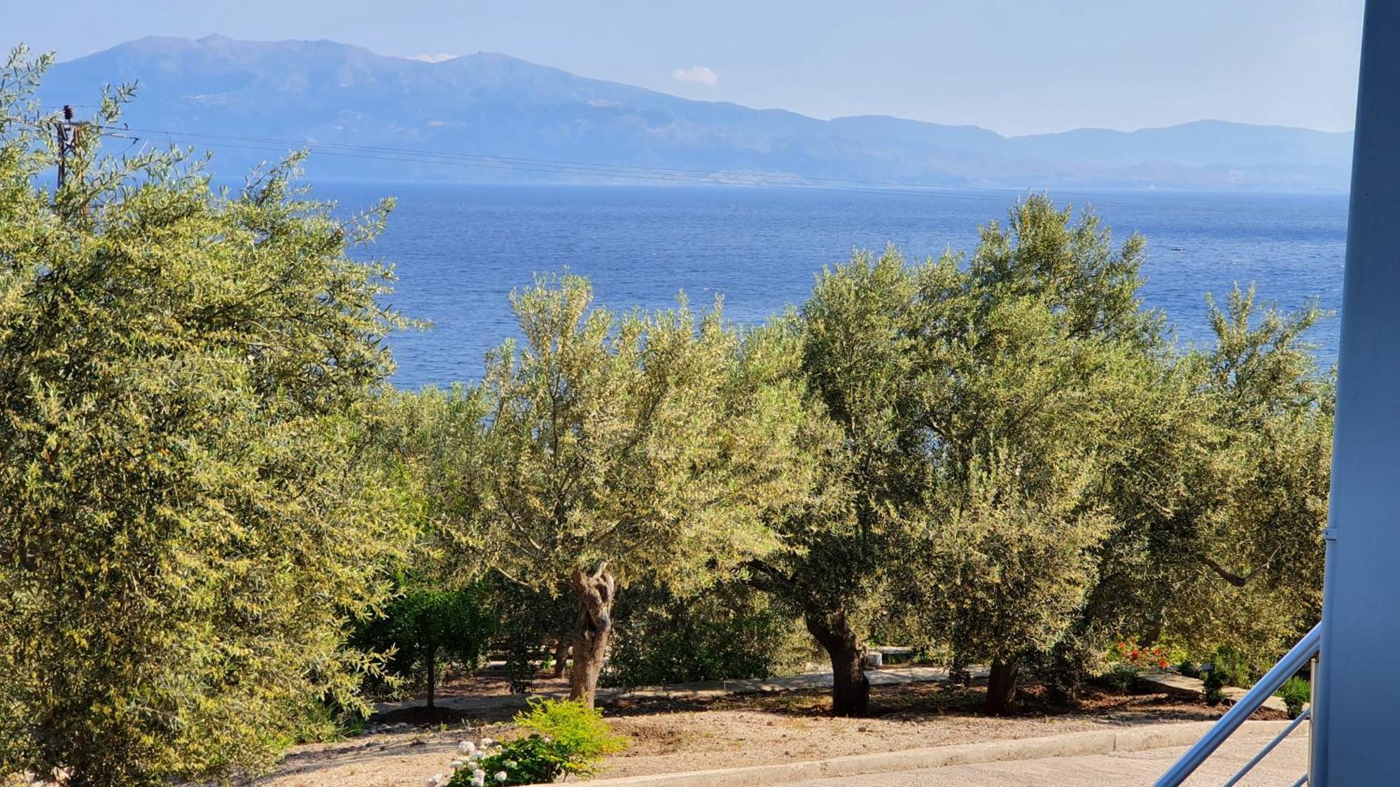 Assos Nazan Motel Restoran Beach Sokakagzi Номер фото