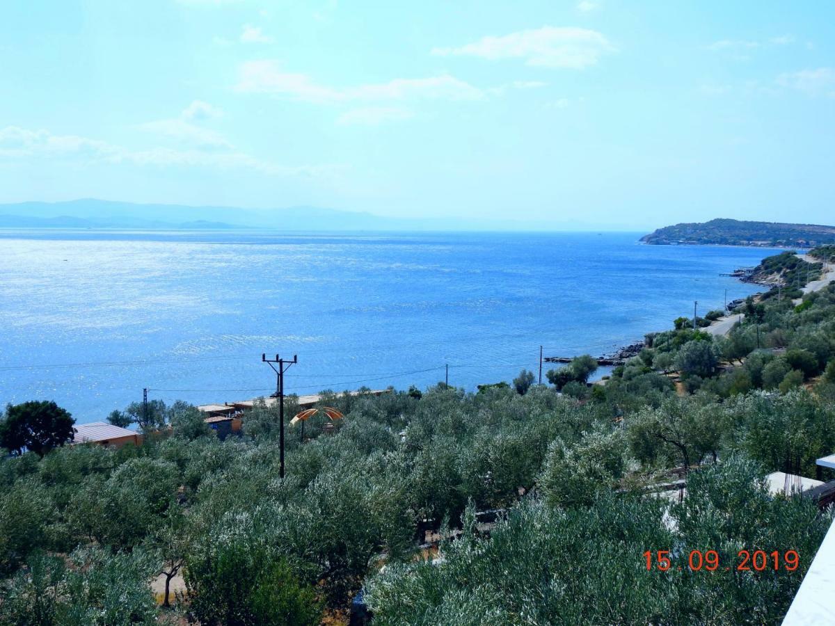 Assos Nazan Motel Restoran Beach Sokakagzi Екстер'єр фото